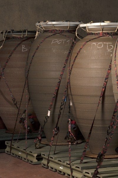 Avondale’s Amphora Winemaking – Experience Now