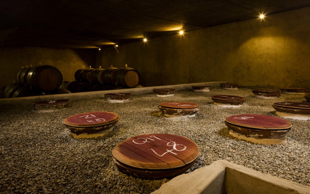 Ancient History meets Modern Biodynamic Winemaking at Avondale