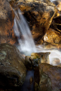 Water-wise Avondale