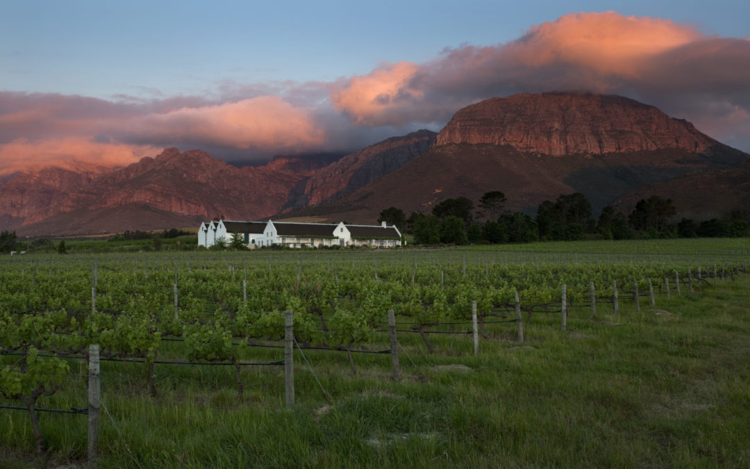 DIVERSIFICATION OF CAPE WINELANDS WINE ESTATE ENSURES ITS SUSTAINABILITY AND ONGOING POSITIVE LOCAL IMPACT