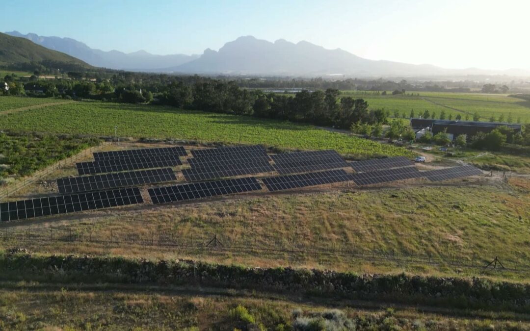 Avondale Wine Estate Achieves Full Energy Independence with Cutting-Edge Solar Installation