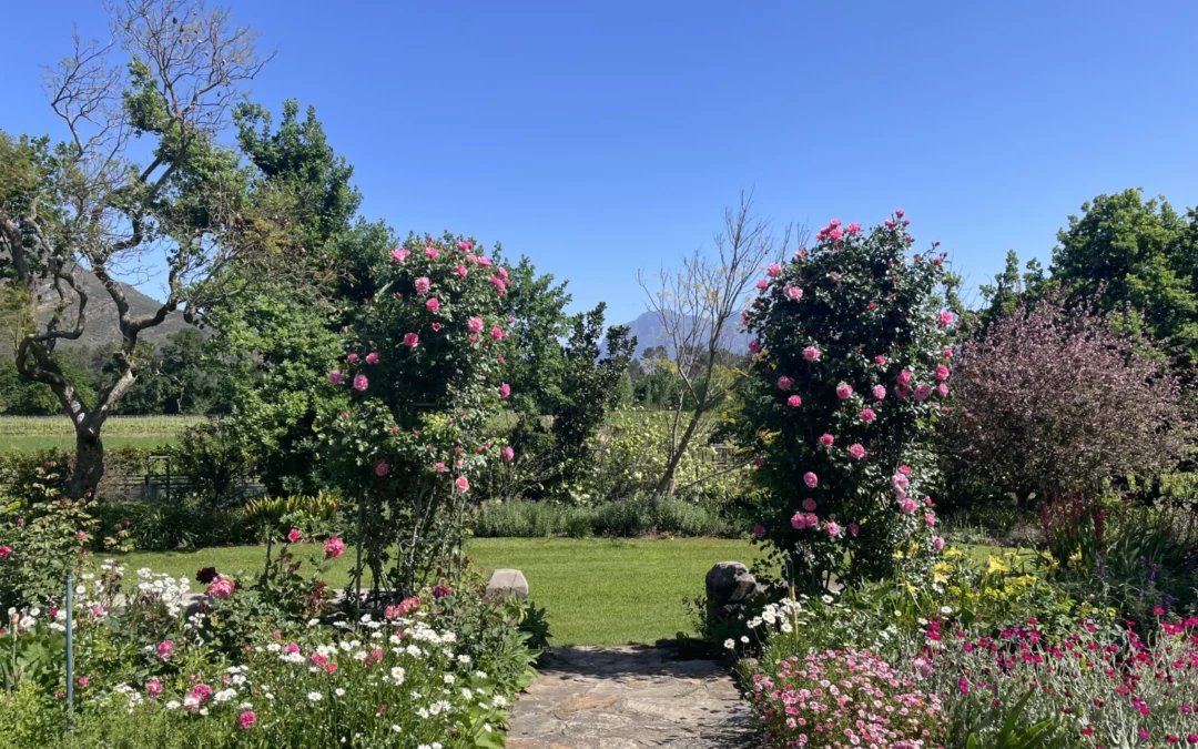 Open Gardens 2025